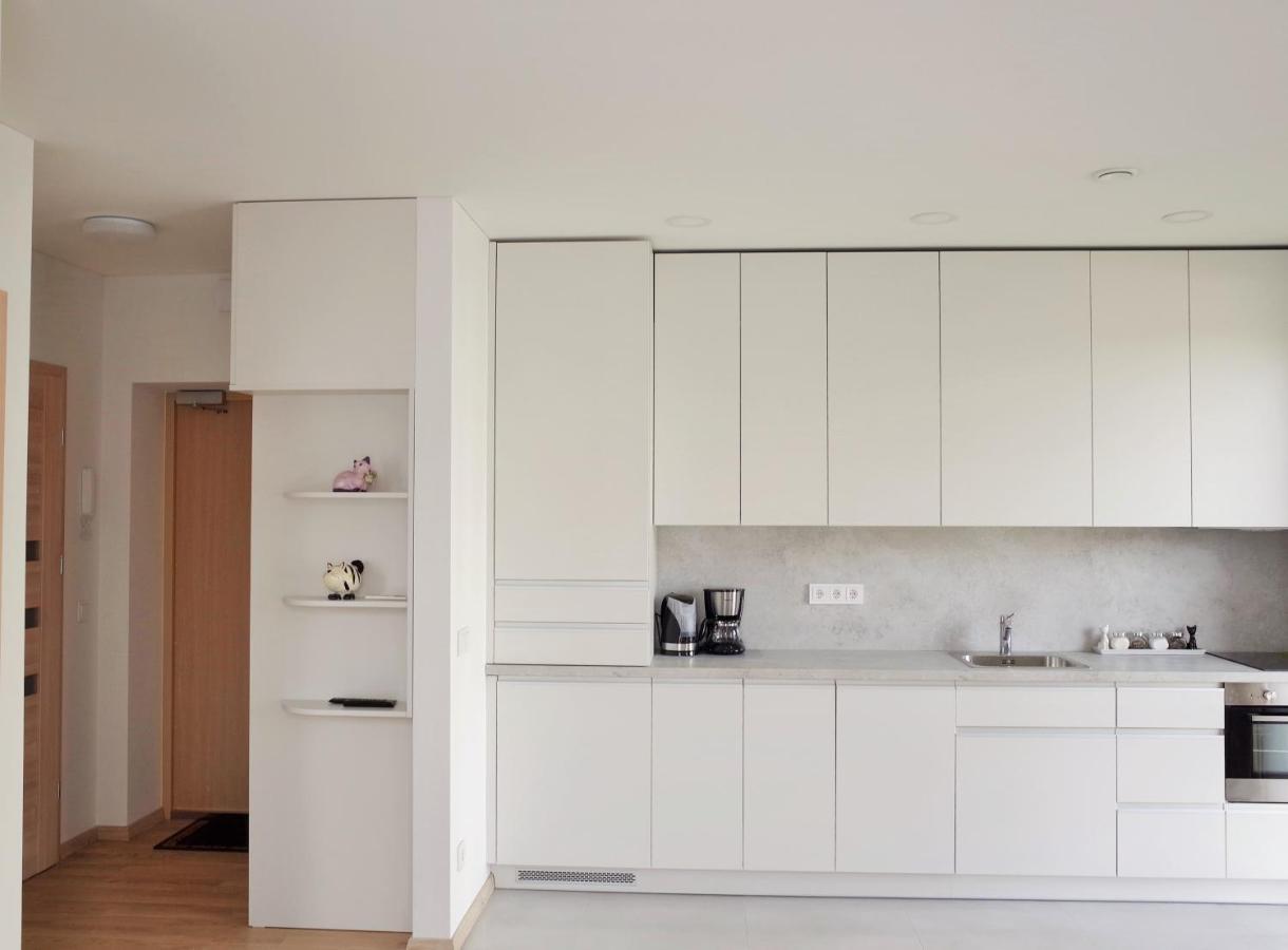 Elzbietos Centro Apartamentai วิลนีอุส ภายนอก รูปภาพ